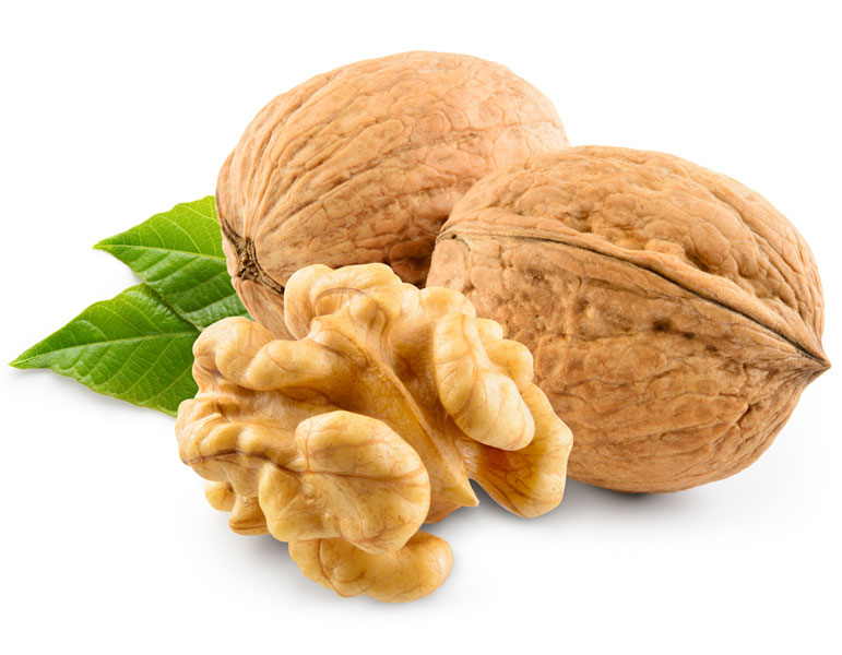 نهال گردو اسراییلی